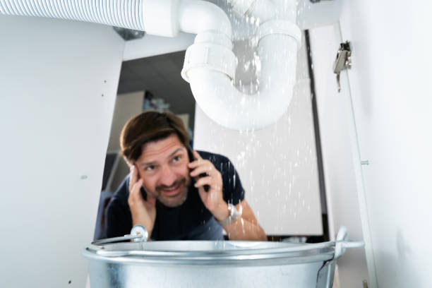 Best Local Plumber Services  in Gallatin, MO